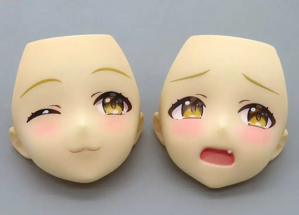 藤田ことね　限定豪華版　plum 開封済み 藤田ことね [PLUM限定豪華版] | PLUM WebShop