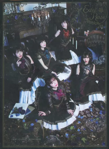 駿河屋 -<中古>Voice Actor Card Collection EX VOL.01 Roselia『Edel