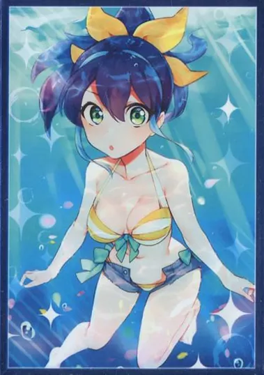 遊戯王 柚子 セレナ 瑠璃 リン スリーブ 16個セット 遊戯王 柚子 セレナ 瑠璃 リン スリーブ 16個セット 遊戯王 柊柚子