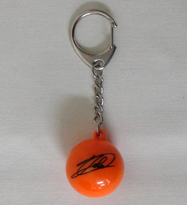 AAA♡サンキュードームサインキーホルダー 駿河屋 -<中古>西島隆弘 サンキュードームサインボール
