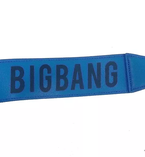 BIGBANG LAST DANCE ショルダーストラップ V.I 駿河屋 -<中古>V.I ショルダーストラップ(ブルー) 「BIGBANG JAPAN