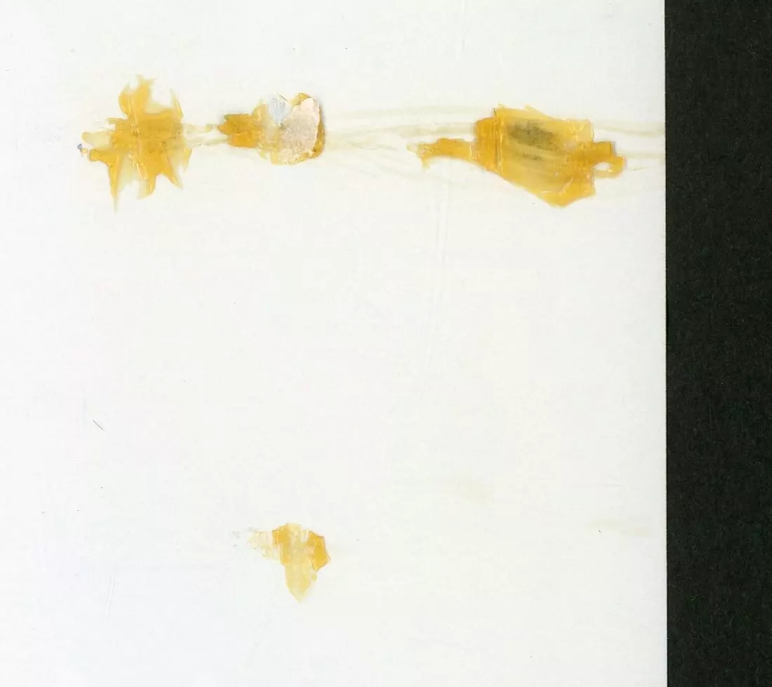 テニスの王子様　完全版 Season3 応募者全員サービス　ポスター10枚セット テニスの王子様 完全版Season3 オリジナルポスター10枚セット