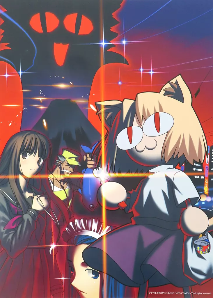 ポスターフォルダーセット(ポスター10枚入り)Fate C70グッズ