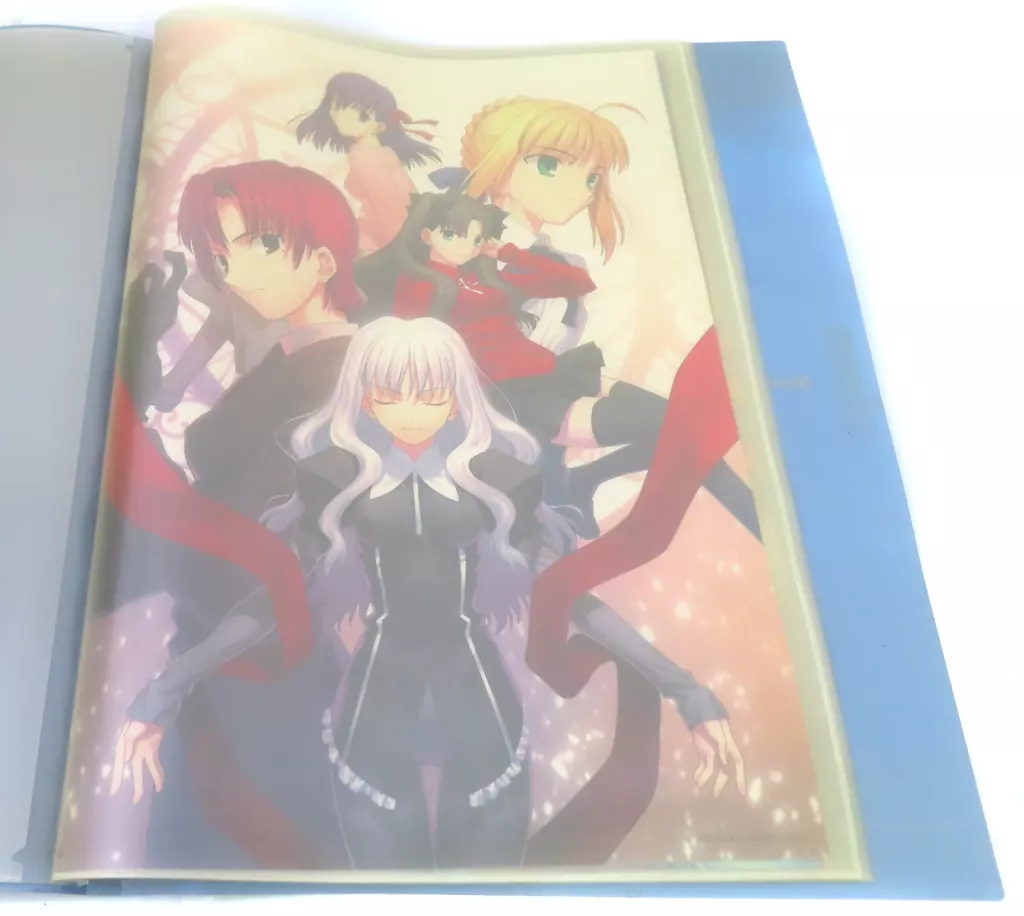 駿河屋 -<中古>TYPE-MOON ポスターフォルダー セット(ポスター10