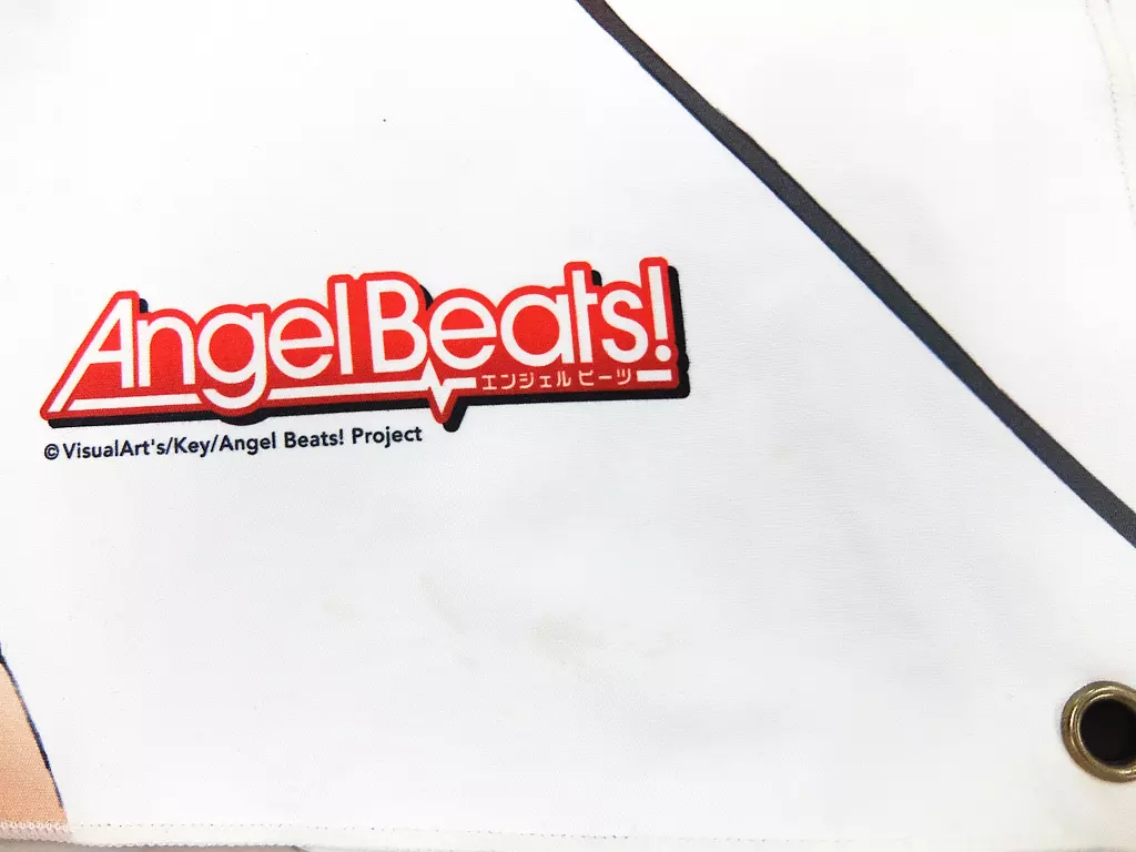 駿河屋 -<中古>[破損品] B2マイクロファイバーポスターB Girls