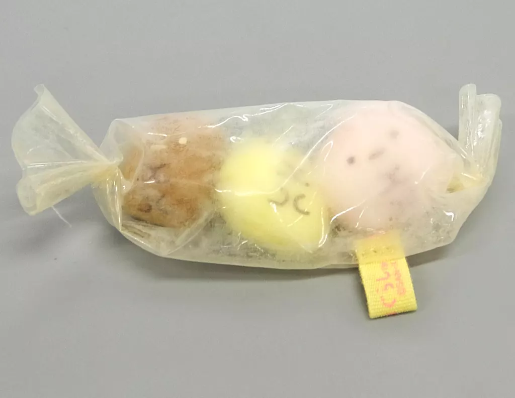 ぬいぐるみ　[破損品] しろくましゅまろ＆とかげうきわチョコ＆たぴラムネ てのりぬいぐるみセット(3体セット) だがし屋すみっコテーマ 「すみっコぐらし」 キデイランド限定 駿河屋 -<中古>しろくましゅまろ＆とかげうきわチョコ＆たぴ