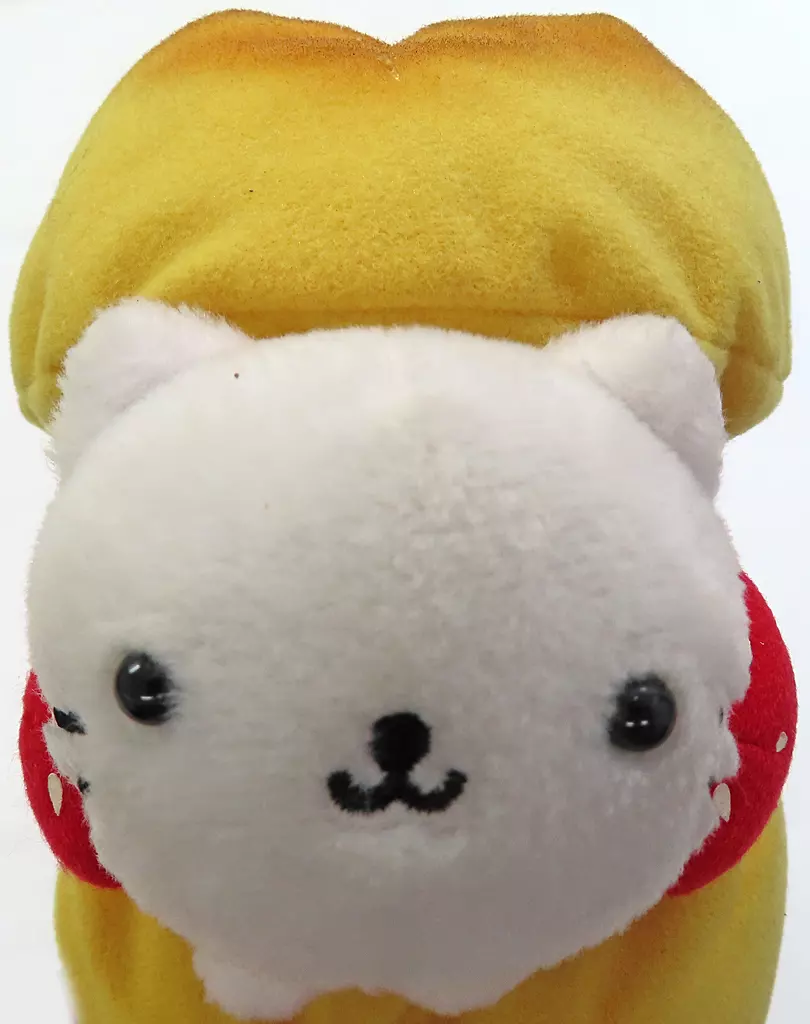駿河屋 -<中古>シューにゃんこ 大好きにゃんこ ランキングBEST5