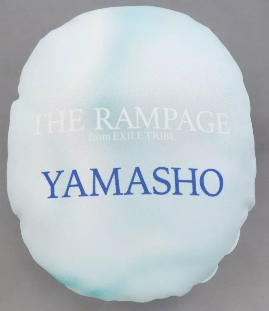 THE RAMPAGE - 山本彰吾 ミニクッション 駿河屋 -<中古>山本彰吾 ミニクッション ツアービジュアル ver