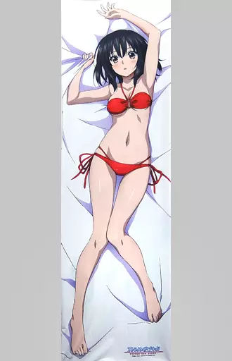 ストライク・ザ・ブラッドIII 　姫柊雪菜 抱き枕カバー AMNIBUS-日常使いできるアニメグッズの通販サイト-