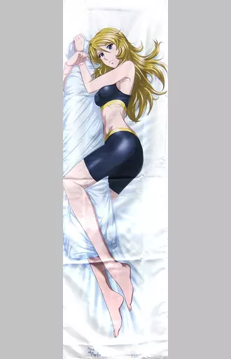 駿河屋 -<中古>[単品] 森雪 抱き枕カバー 「C85 宇宙戦艦ヤマト