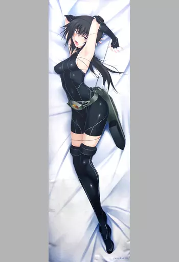 駿河屋 -【アダルト】<中古>[破損品] 松永燕 抱き枕カバー 「真剣で私