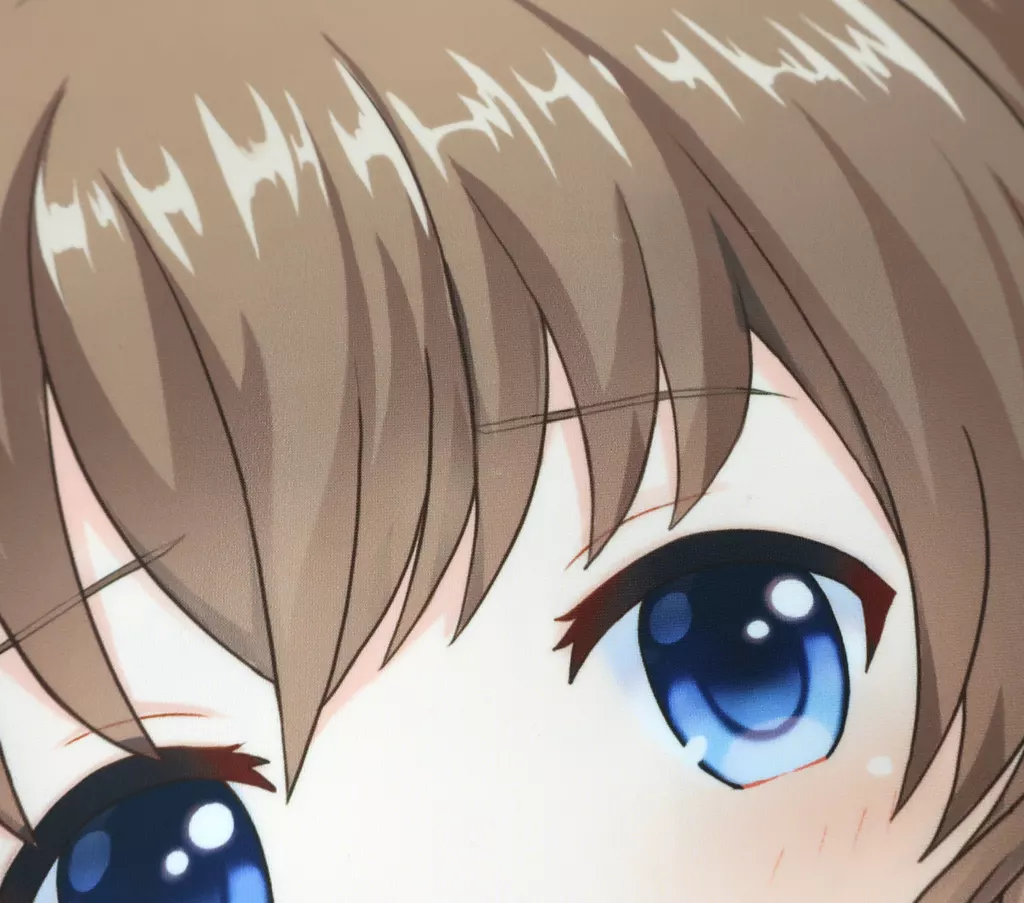 【正規品】有村詩音 抱き枕カバー　オルタナティブガールズ2 正規品 [ 有村詩音 ] 抱き枕カバー 「オルタナティブガールズ」公式
