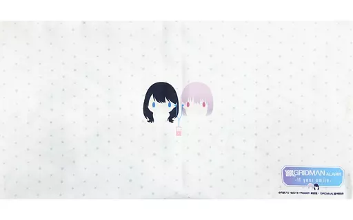 SSSS.GRIDMAN 新条アカネ クッションカバー オンラインくじ A賞 SSSS.GRIDMAN 新条アカネ クッションカバー オンラインくじ A賞 - メルカリ