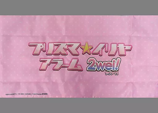 駿河屋 -<中古>イリヤスフィール・フォン・アインツベルン