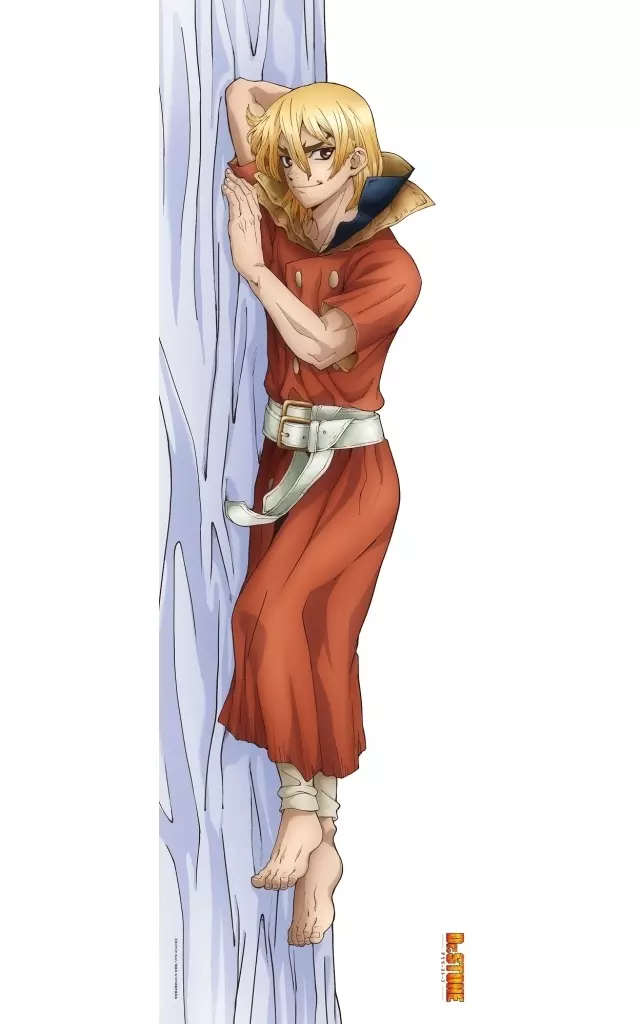 駿河屋 -<中古>七海龍水 描き下ろしプレミアム抱き枕カバー 「Dr.STONE