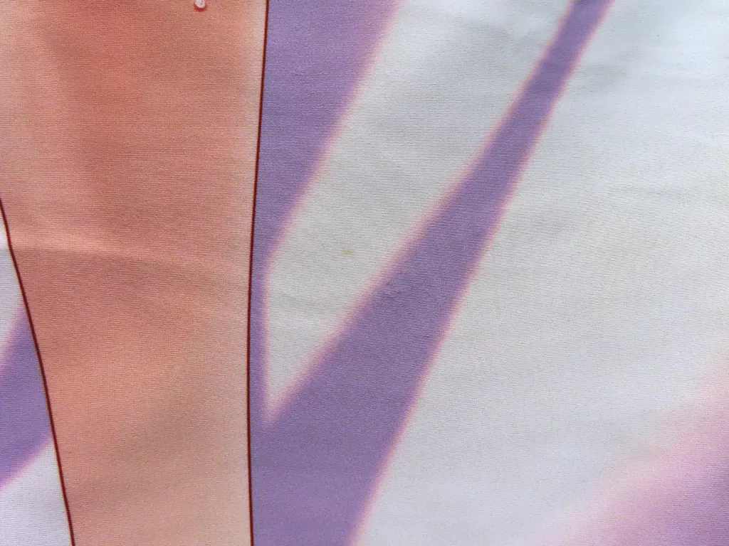  リンドウ2014 たにはらなつき描き下ろし抱き枕カバー 「華枕」