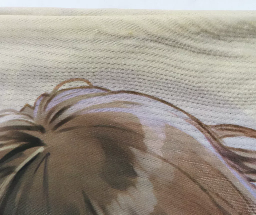  白井日菜子 描き下ろし等身大抱き枕カバー 「PS4ソフト BLUE REFLECTION 幻に舞う少女の剣 プレミアムボックス」 ソフマップ購入特典