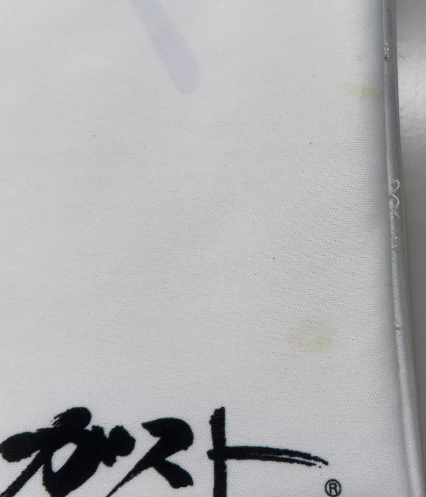  白井日菜子 描き下ろし等身大抱き枕カバー 「PS4ソフト BLUE REFLECTION 幻に舞う少女の剣 プレミアムボックス」 ソフマップ購入特典