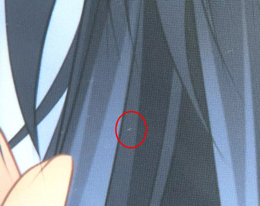  白取愛良 抱き枕カバー 「世界と世界の真ん中で」 Character1 2014グッズ