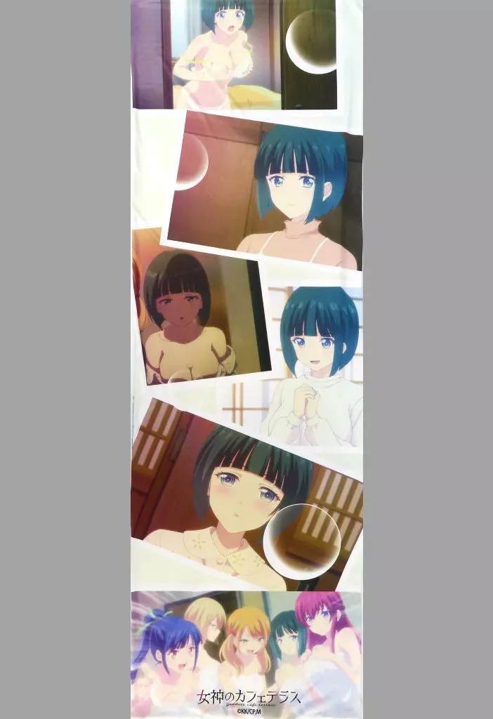  小野白菊 抱き枕カバー 「女神のカフェテラス×ドン・キホーテ」