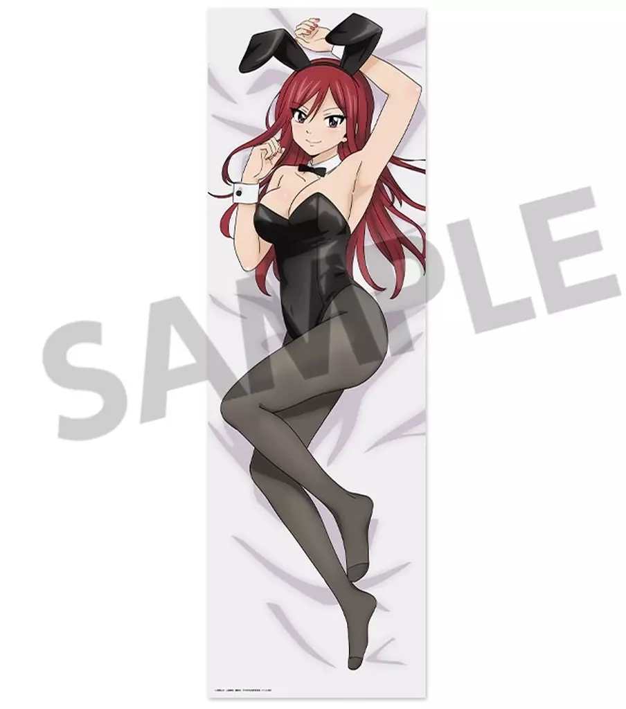 駿河屋 -<中古>エルザ・スカーレット 描き下ろし抱き枕カバー 「FAIRY