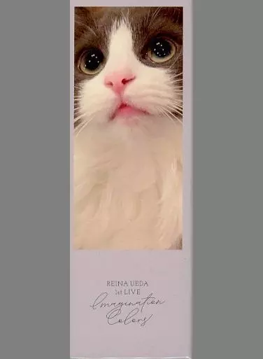 上田麗奈 1st Live ランダム缶バッジ 全12種セット 駿河屋 -<中古>全12種セット 上田麗奈 ランダム缶バッジ 「1st LIVE