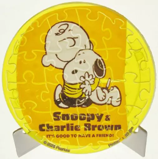 スヌーピー PACHITバッジコレクション 12種セット 新品未使用 0000000141812_GE8kGem.jpg