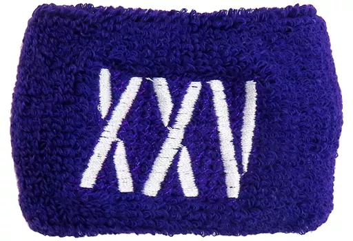 駿河屋 -<中古>B'z ハーフリストバンド(志) 「B'z LIVE-GYM Pleasure