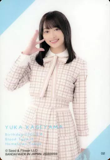 駿河屋 -<中古>影山優佳 プラカード 「日向坂46 チョコ