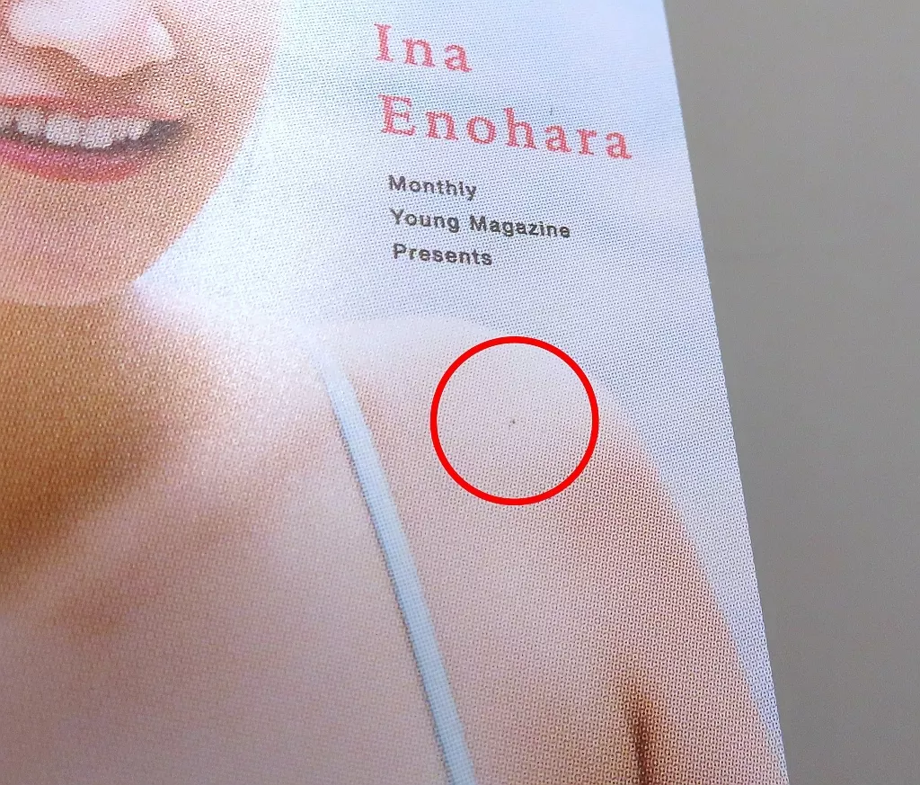 榎原依那 ヤングマガジンNo.29 当選品 クオカード 使用済み 榎原依那 ヤングマガジンNo.29 当選品 クオカード 使用済み 榎原依那