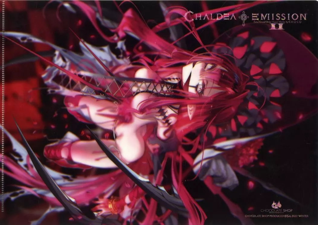 駿河屋 -【アダルト】<中古>【Fate シリーズ】A4クリアファイル