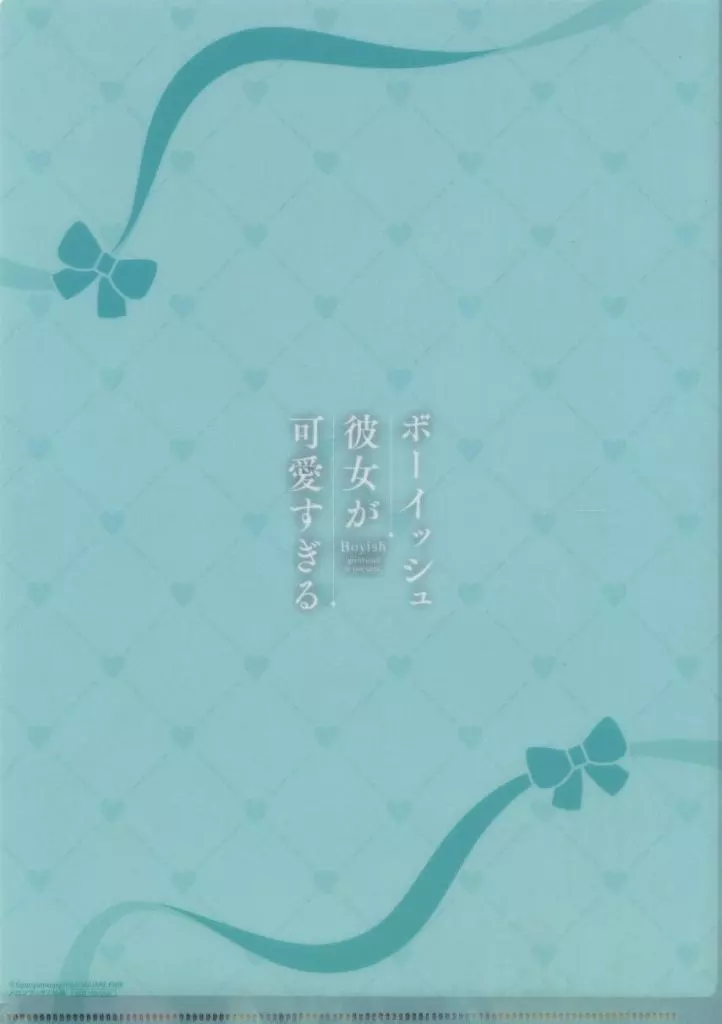 初版 1巻 特典 ボーイッシュ彼女が可愛すぎる メロンブックス クリアファイル TSUTAYA限定特典あり】『ボーイッシュ彼女が可愛すぎる 4巻 通常版・特