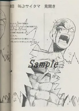 駿河屋 -<中古><<オリジナル>> OTHER ONE‐BUKURO アザーワンブクロ