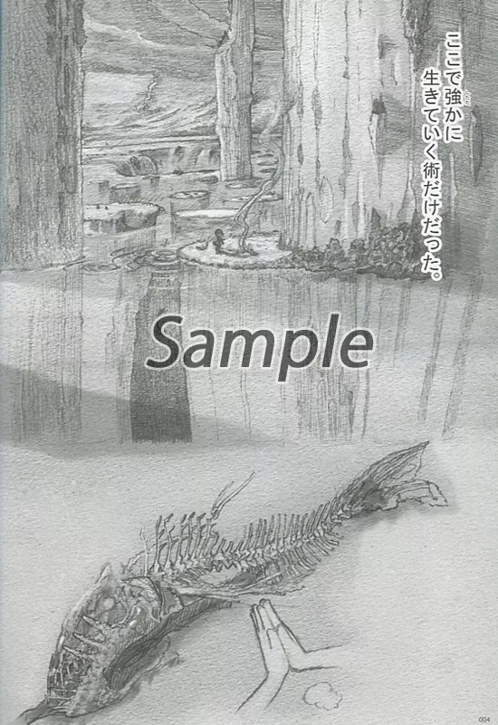 【希少本】スターストリングスより　つくしあきひと　ドアビートル 希少本】スターストリングスより つくしあきひと ドアビートル