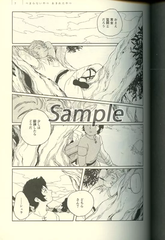 駿河屋 -<中古><<聖闘士星矢>> 群像 / dairok （オールキャラ） / a