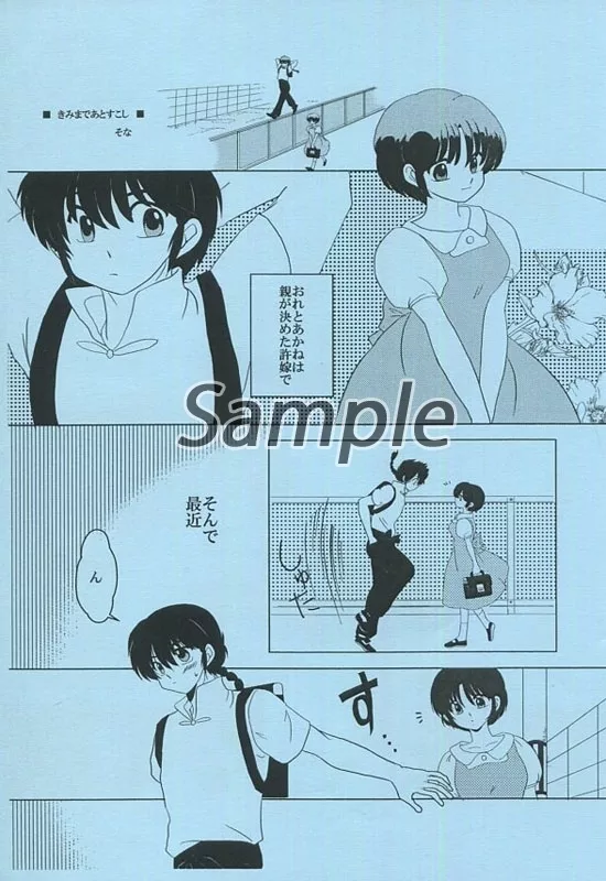 らんま1/2同人誌　プロポーズ　乱馬×あかね　高橋留美子作品 1050914.jpg