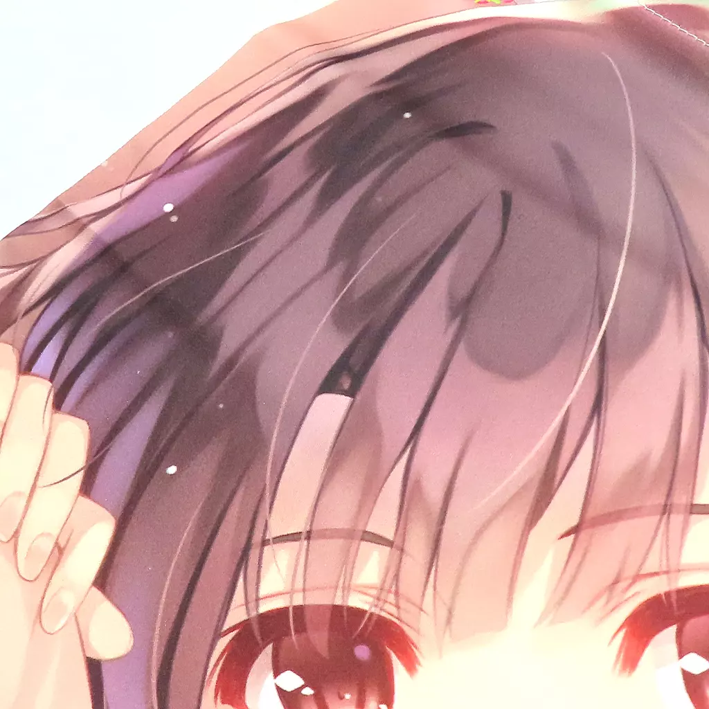 駿河屋 -<中古>加藤恵 描き下ろしB2タペストリー 「Blu-ray/DVD 冴え