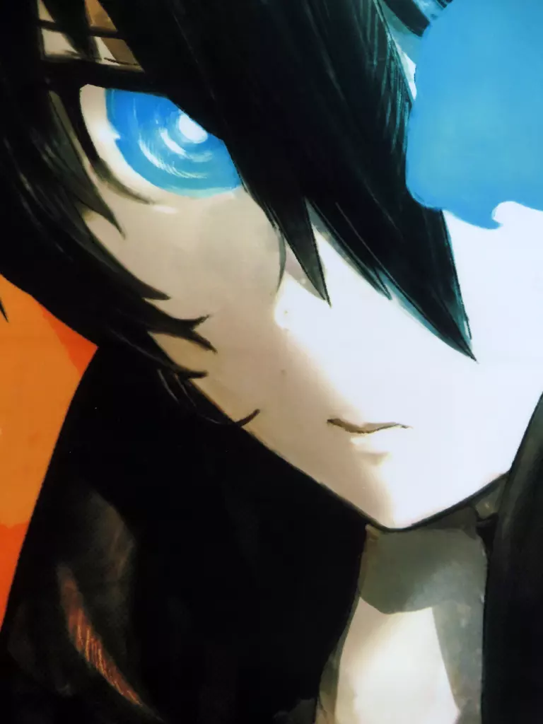 ブラック★ロックシューター　THE GAME ゲーマーズ限定版タペストリー ブラックロックシューター THE GAME ゲーマーズ限定版」ブラック