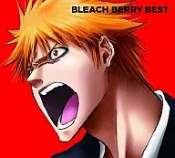 BLEACH BERRY BEST[期間限定生産盤]