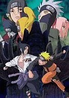 NARUTO-ナルト- 疾風伝 師の予言と復讐の章 4[通常版]