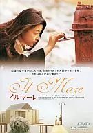 イルマーレ(’00韓国) (松 竹 (株))