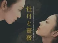 牡丹と薔薇 DVD-BOX 中