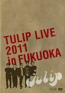 TULIP / LIVE 2011 in FUKUOKA