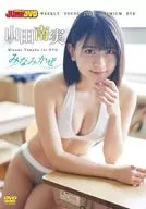 山田南実 / WEEKLY YOUNG JUMP PREMIUM DVD 山田南実 みなみかぜ