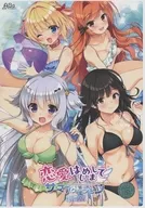 恋愛、はじめまして ミニファンディスク サマーバケーション [初回版]