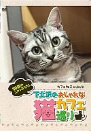 カフェねこonDVD 下北沢のおしゃれな猫カフェめぐり