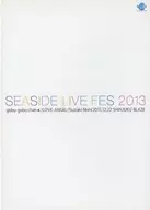 SEASIDE LIVE FES 2013