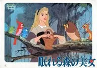 <<パンフレット>> パンフレット ピーターパン＆眠れる森の美女