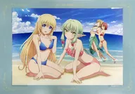 一番くじ ゴブリンスレイヤー ラストワン賞 ビジュアライズボード