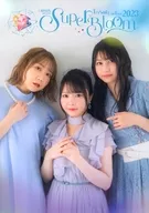 <<パンフレット>> LAWSON presents TrySail Live Tour 2021 Re Bon Voyage パンフレット 